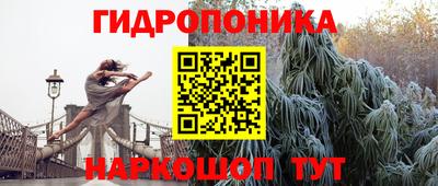 индика Янаул