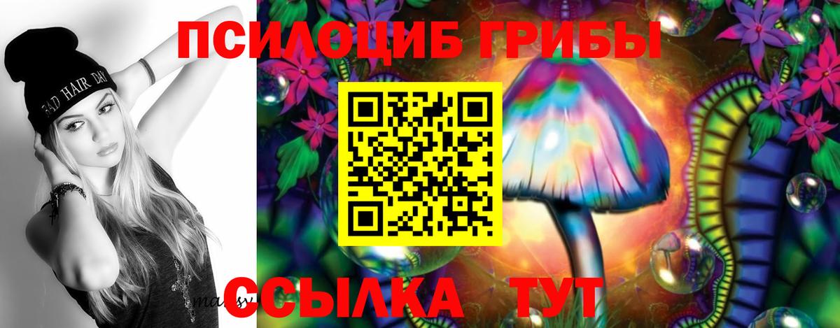 Самара  Галлюциногенные грибы GOLDEN TEACHER  Вход с VPN 